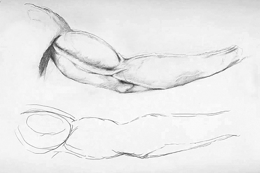 arm anatomy drawing 10