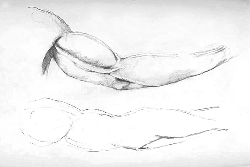 arm anatomy drawing 12