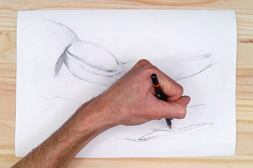 arm anatomy drawing 13