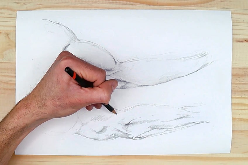 arm anatomy drawing 16