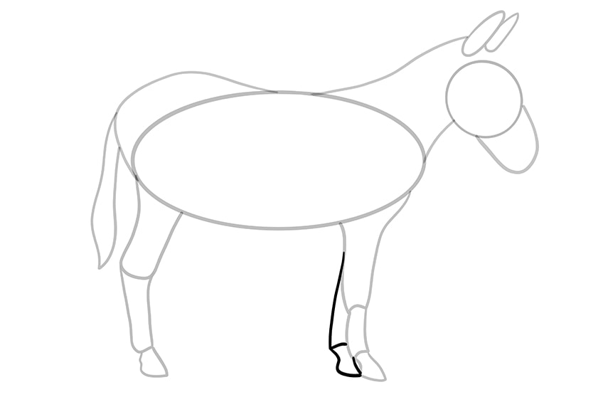 donkey drawing 10