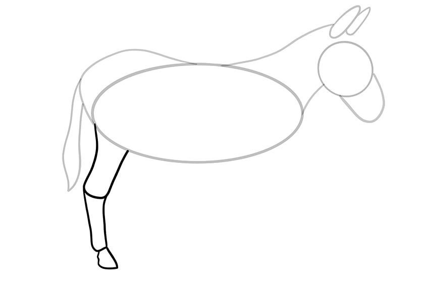 donkey drawing 8
