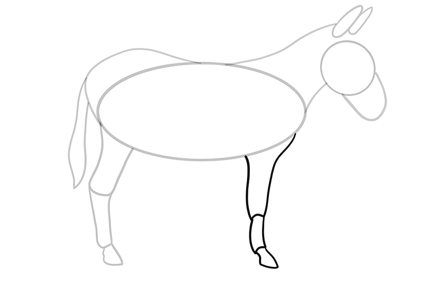 donkey drawing 9