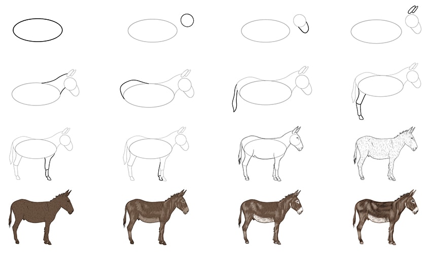 donkey sketch