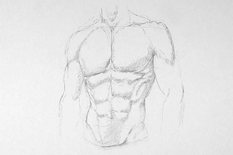 How to Draw Abs A StepbyStep Guide to Creating an Abs Drawing