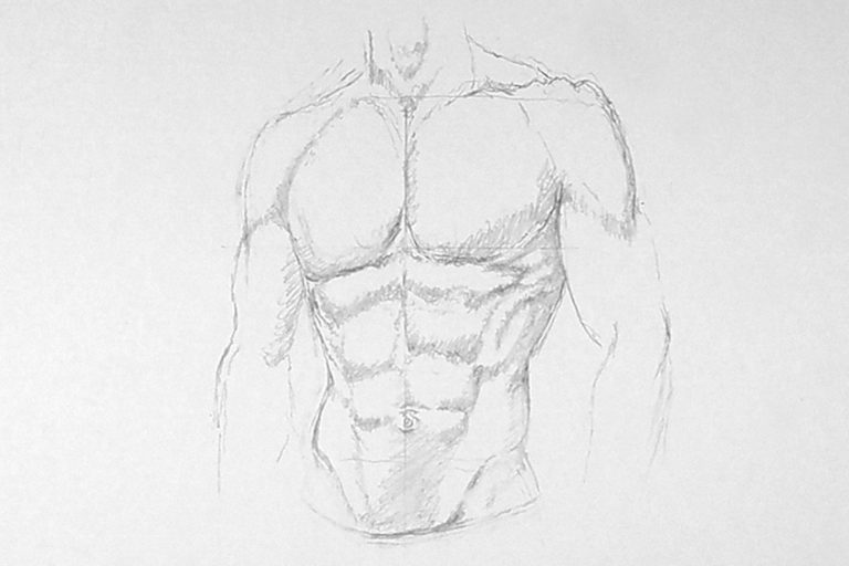 How to Draw Abs A StepbyStep Guide to Creating an Abs Drawing