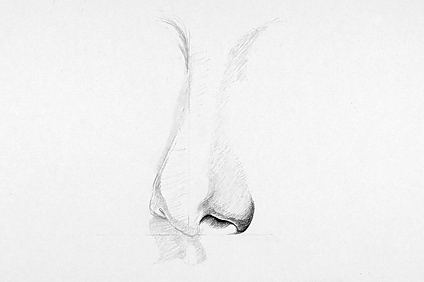drawing noses 05