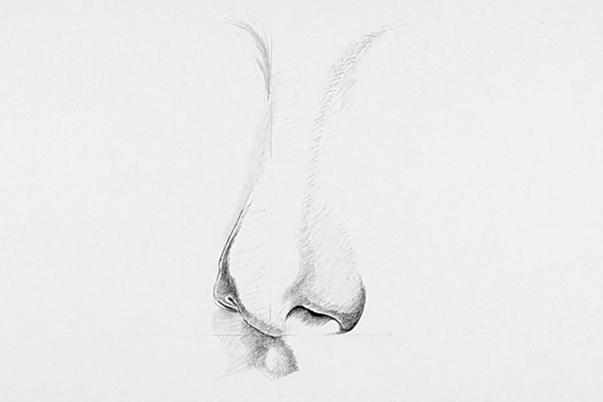drawing noses 06