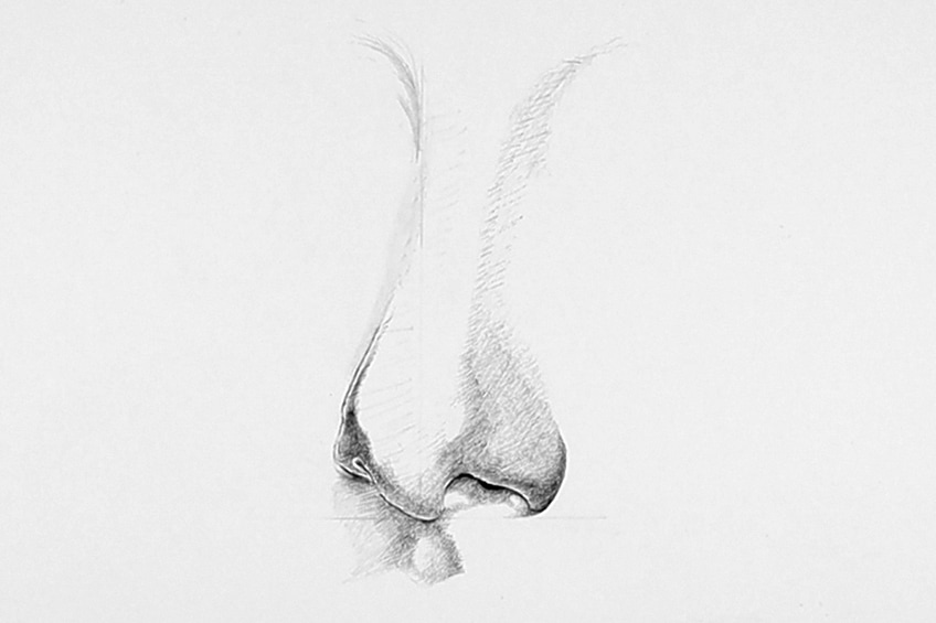 drawing noses 07