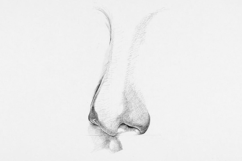drawing noses 08