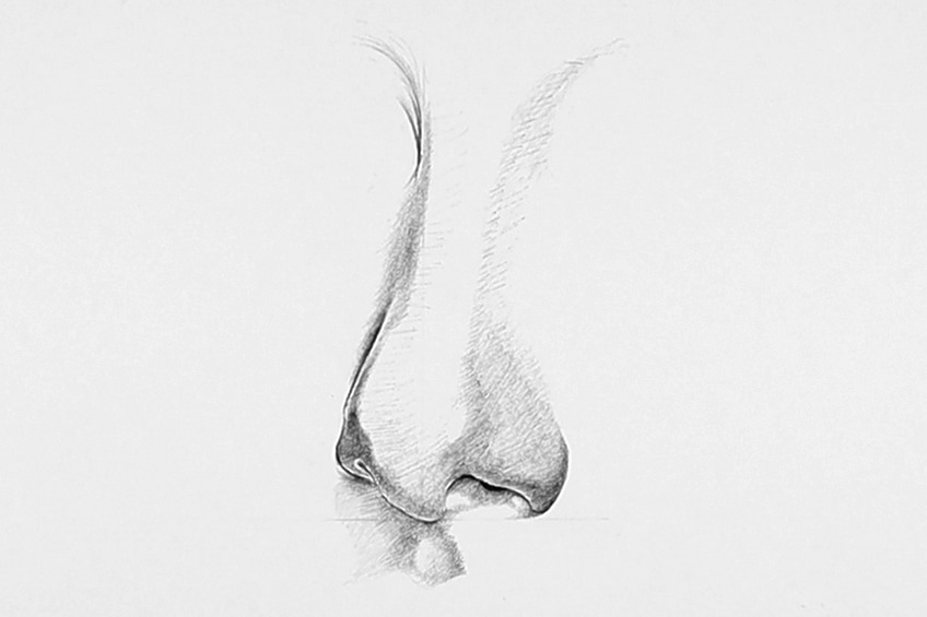 drawing noses 09