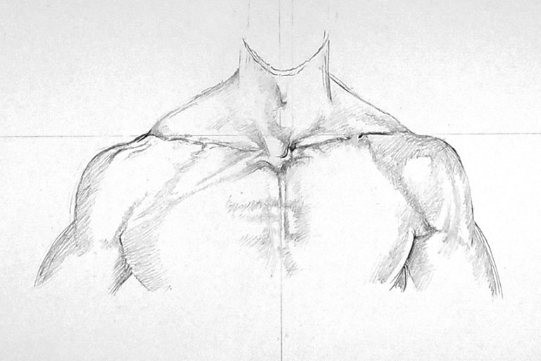 How to Draw Shoulders A StepbyStep Guide to Drawing Shoulders