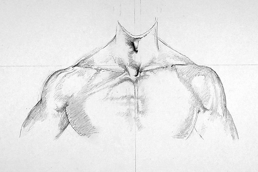drawing shoulders 10