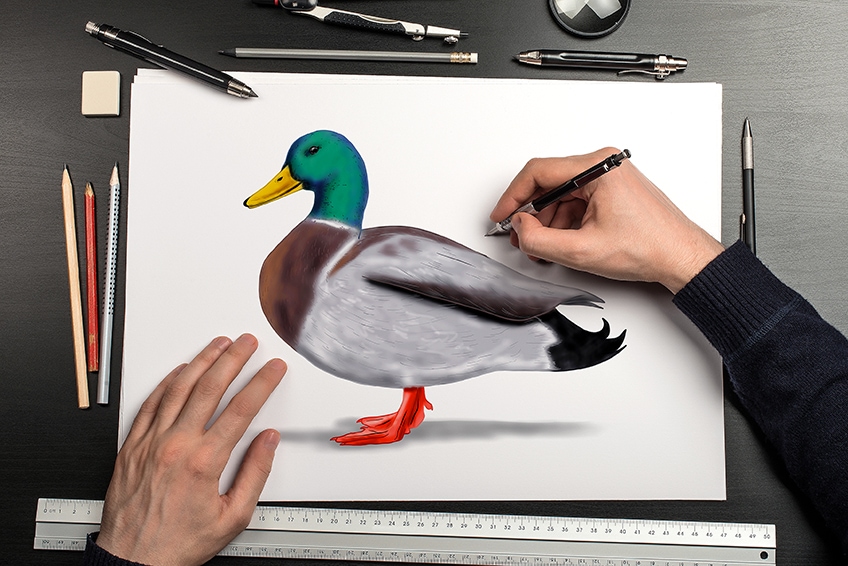 How To Draw A Duck An Easy Duck Drawing Tutorial For All Artists