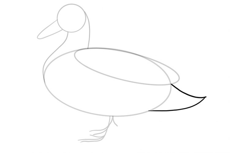 How to Draw a Duck An Easy Duck Drawing Tutorial for All Artists