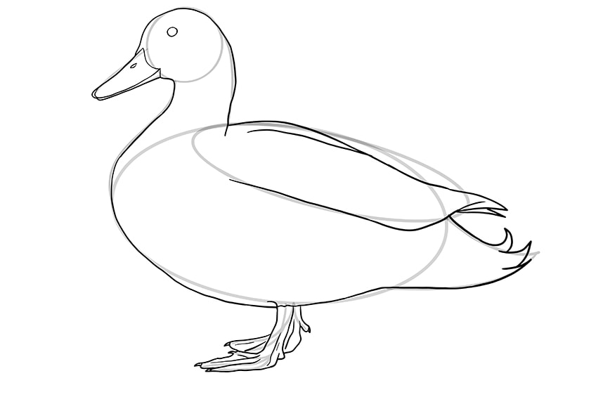 How To Draw A Duck An Easy Duck Drawing Tutorial For All Artists