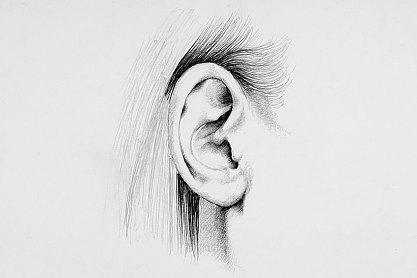 ear sketches 17