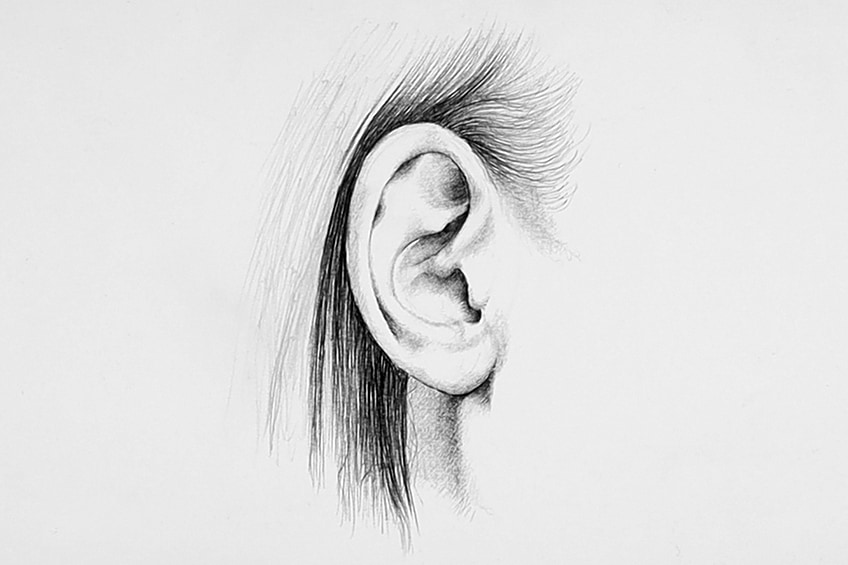 ear sketches 18
