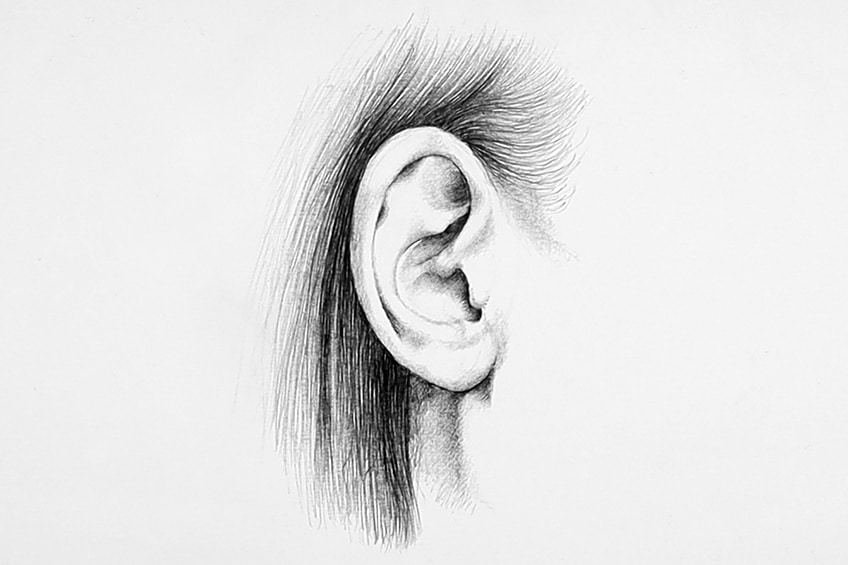 ear sketches 20