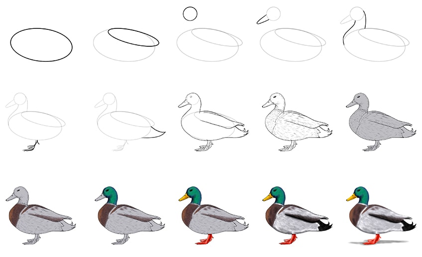 easy duck drawing