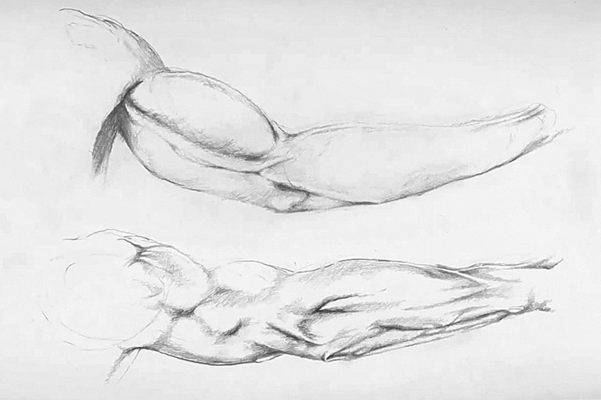 flexing arm drawing 20