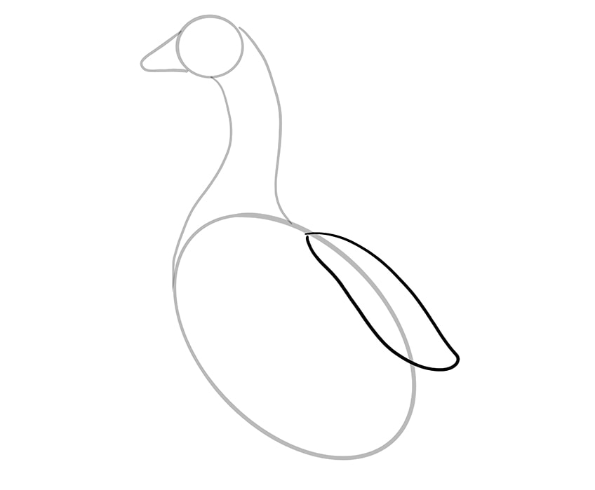 goose drawing 5
