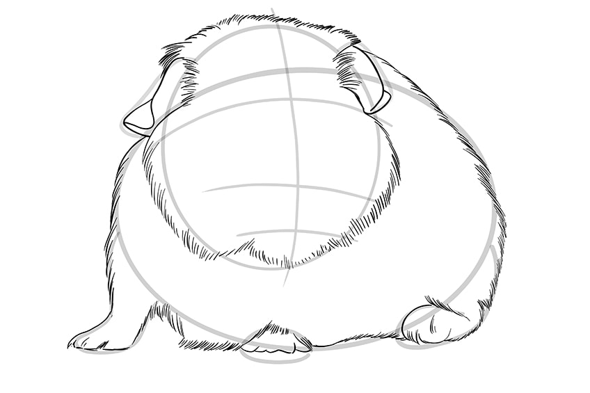 guinea pig drawing 7