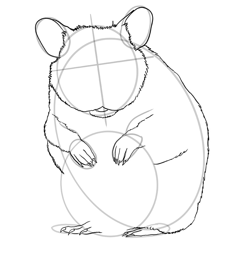 hamster drawing 9