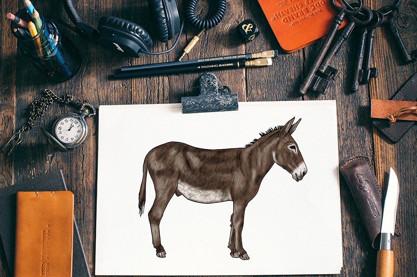 how to draw a donkey 2
