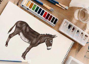 how to draw a donkey