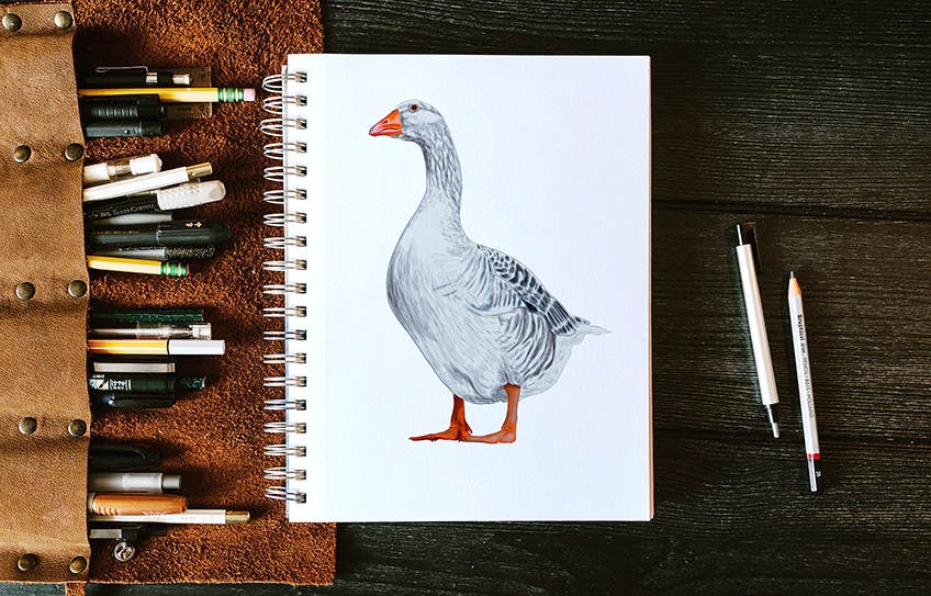 Draw A Goose - Draw Space