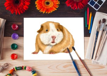 how to draw a guinea pig 2