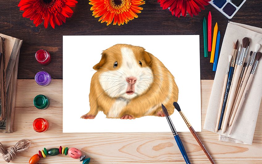 how to draw a guinea pig 2