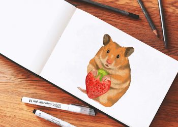 how to draw a hamster