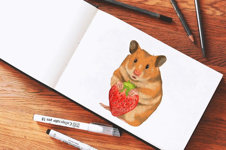 How to Draw a Hamster – An Adorable Hamster Drawing Tutorial