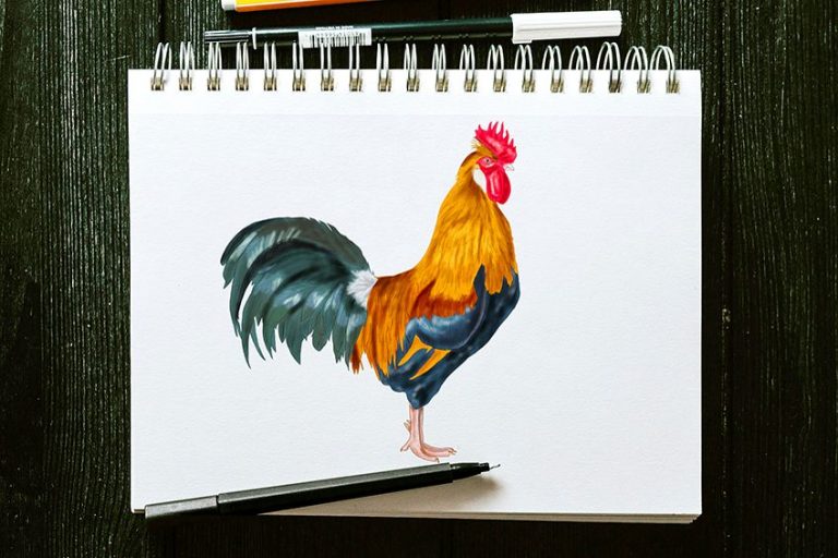How to Draw a Rooster – Our Fun Cockerel Drawing Tutorial