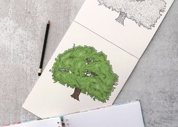 how to draw a tree