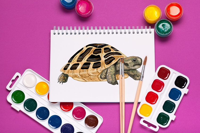 Sea Turtle Drawing - How To Draw A Sea Turtle Step By Step