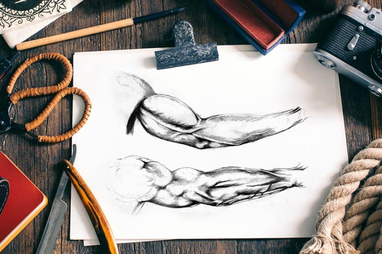 How to Draw Arms – Learn How to Create Your Own Arm Drawing