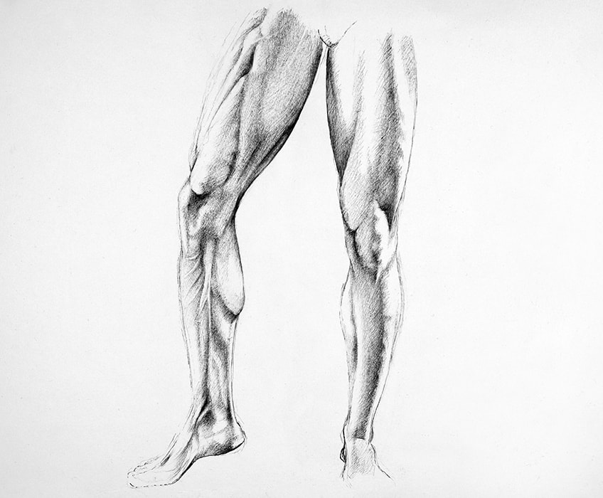 how to draw muscular legs