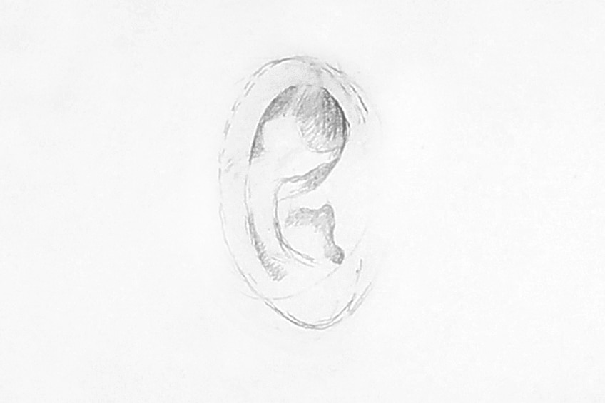 human ear drawing 03