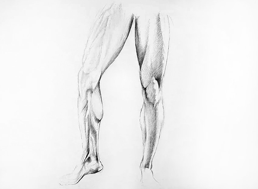 Male Upper Body Drawings by robertmarzullo on DeviantArt #leg #muscles  #anatomy #drawing #legmusclesan… | Human anatomy drawing, Human anatomy  art, Anatomy sketches