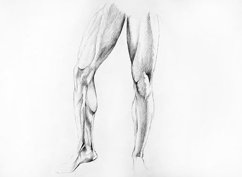 legs sketch 33
