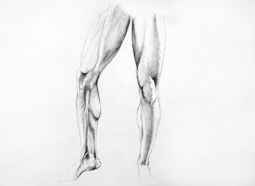 legs sketch 36