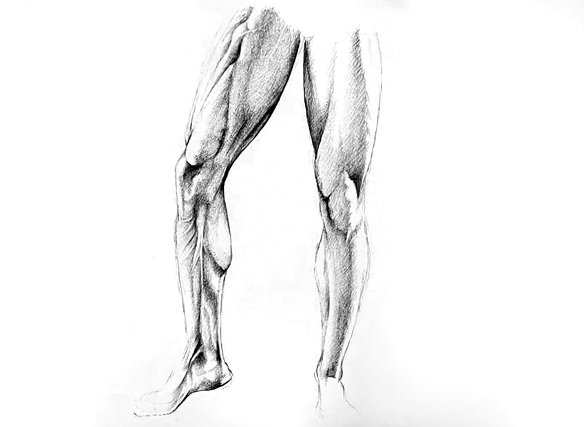 legs sketch 40