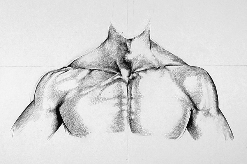 neck muscles drawing 25