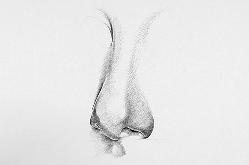 How to Draw a Nose for beginners