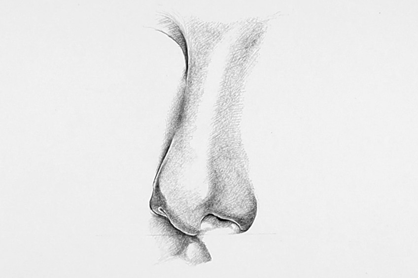 nose sketch 11