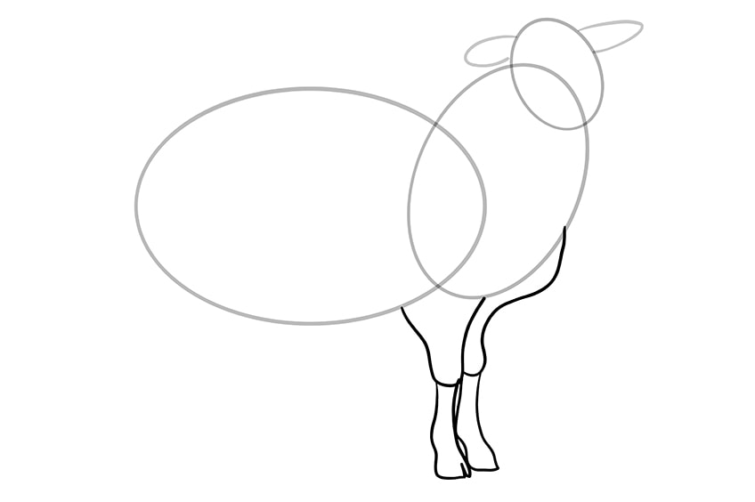 sheep drawing 5