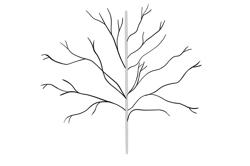 tree drawing 2